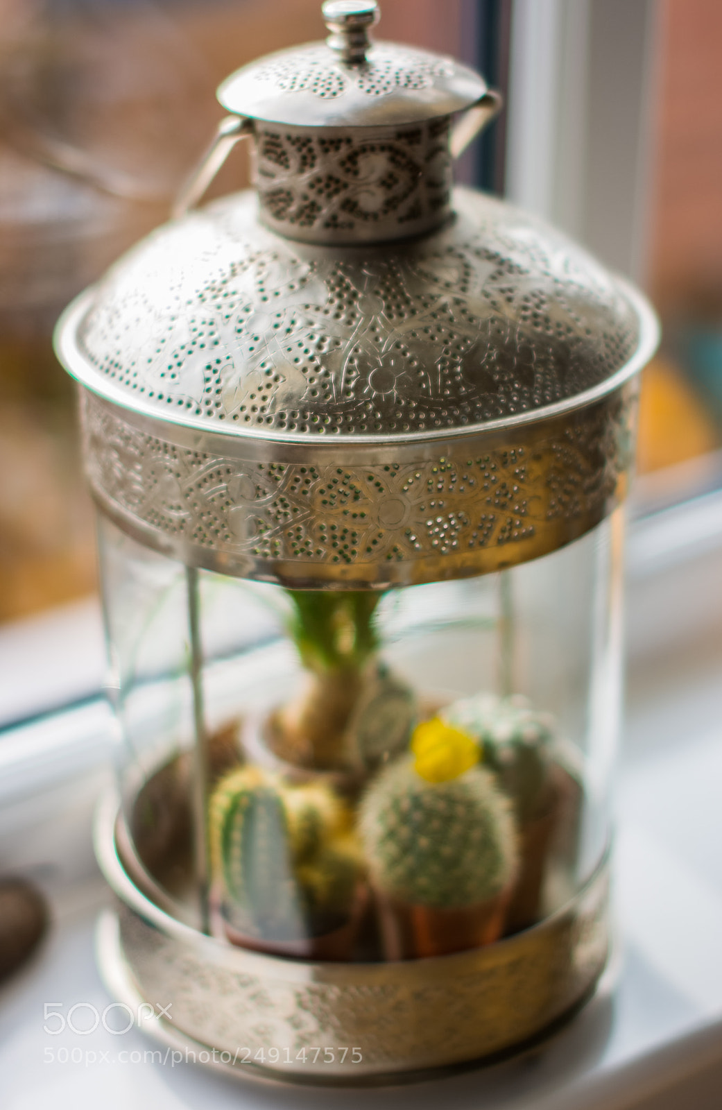 Nikon D7100 sample photo. Anya photography