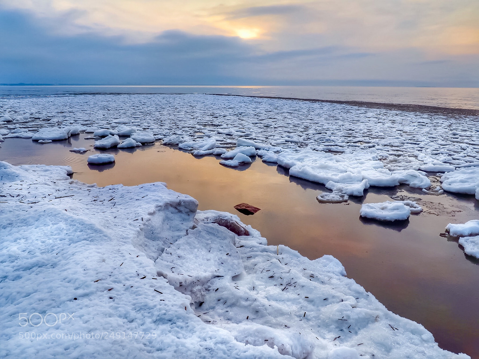Olympus PEN E-PL7 sample photo. Dairy gulf, winter sun photography