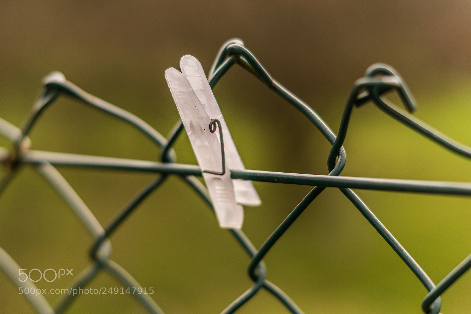Sony SLT-A58 sample photo. Sixtyeight #project365 caught photography