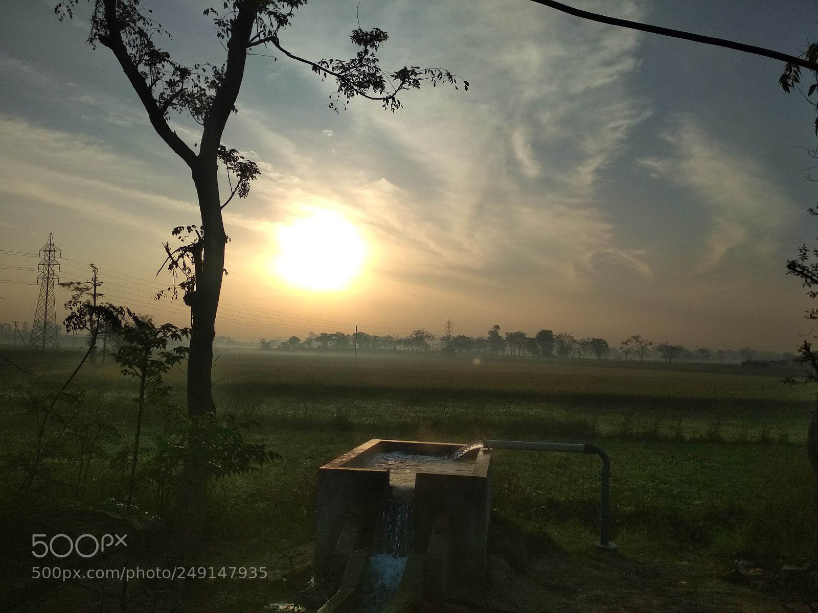 Xiaomi Redmi 4 Pro sample photo. Feel the nature photography