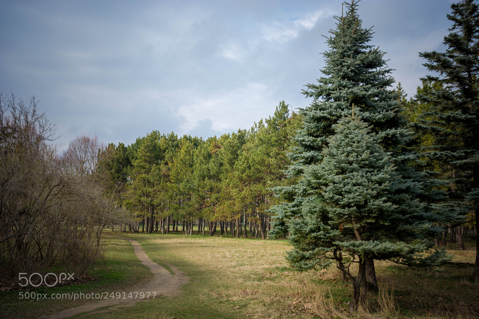 Nikon D5200 sample photo. Tavrida national v.i. vernadsky photography