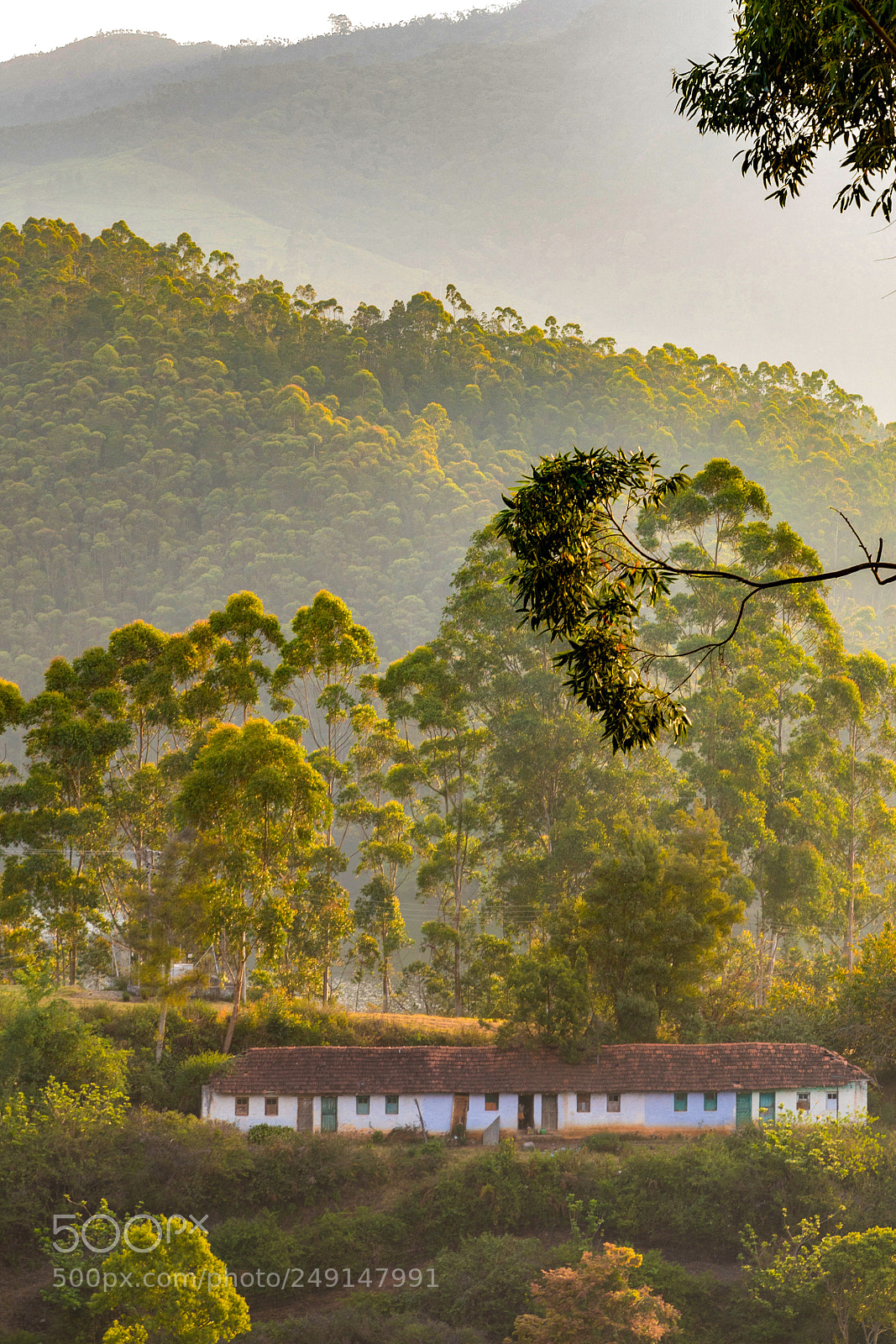 Canon EOS 5D Mark IV sample photo. House near munnar dam photography