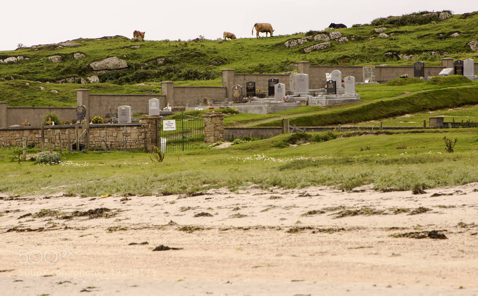 Nikon D600 sample photo. Above the cemetery! (1) photography