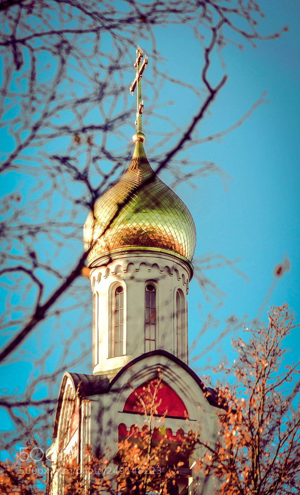 Nikon D5100 sample photo. Купол photography
