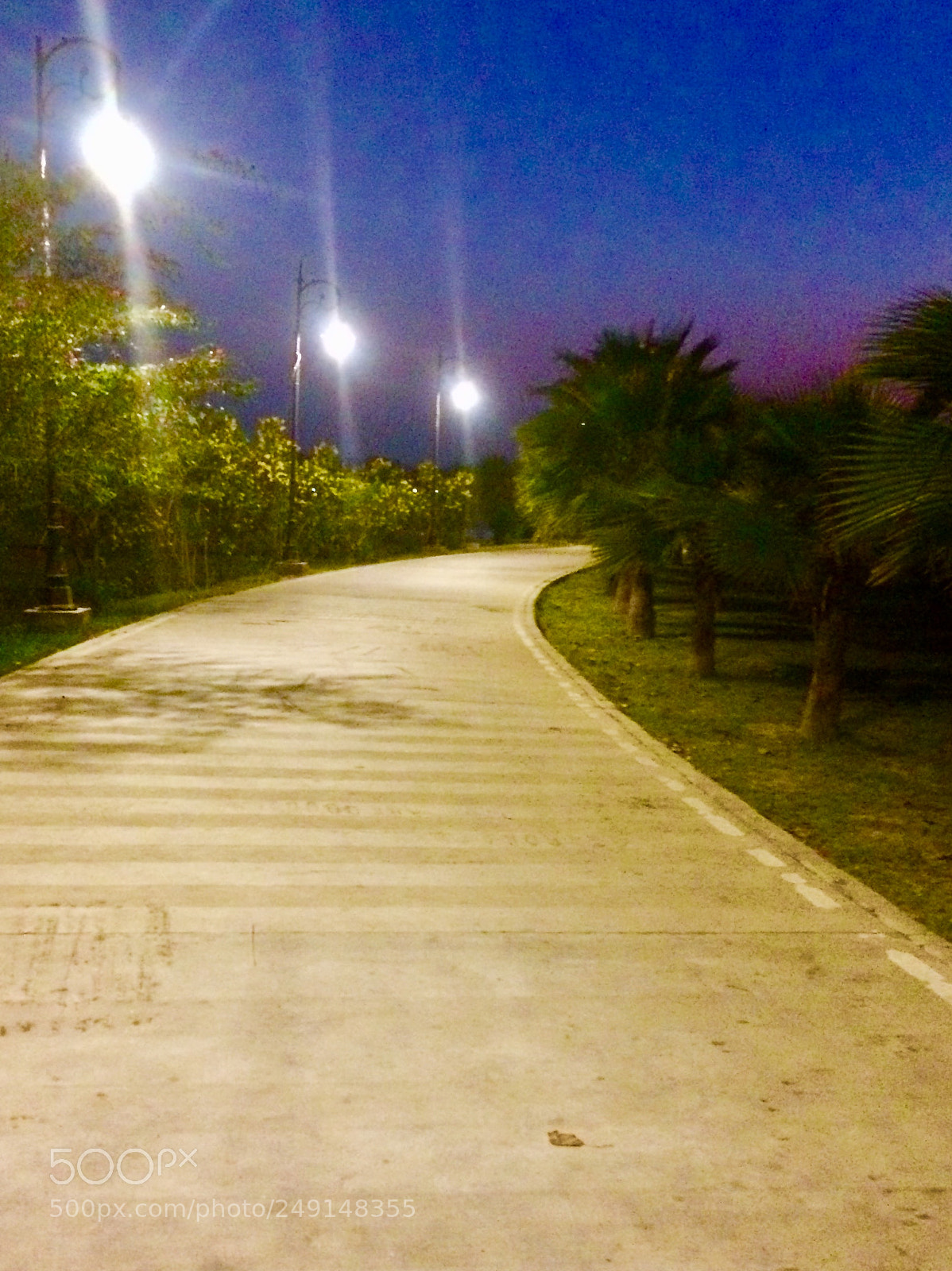 Apple iPhone 5s sample photo. Nighty night photography