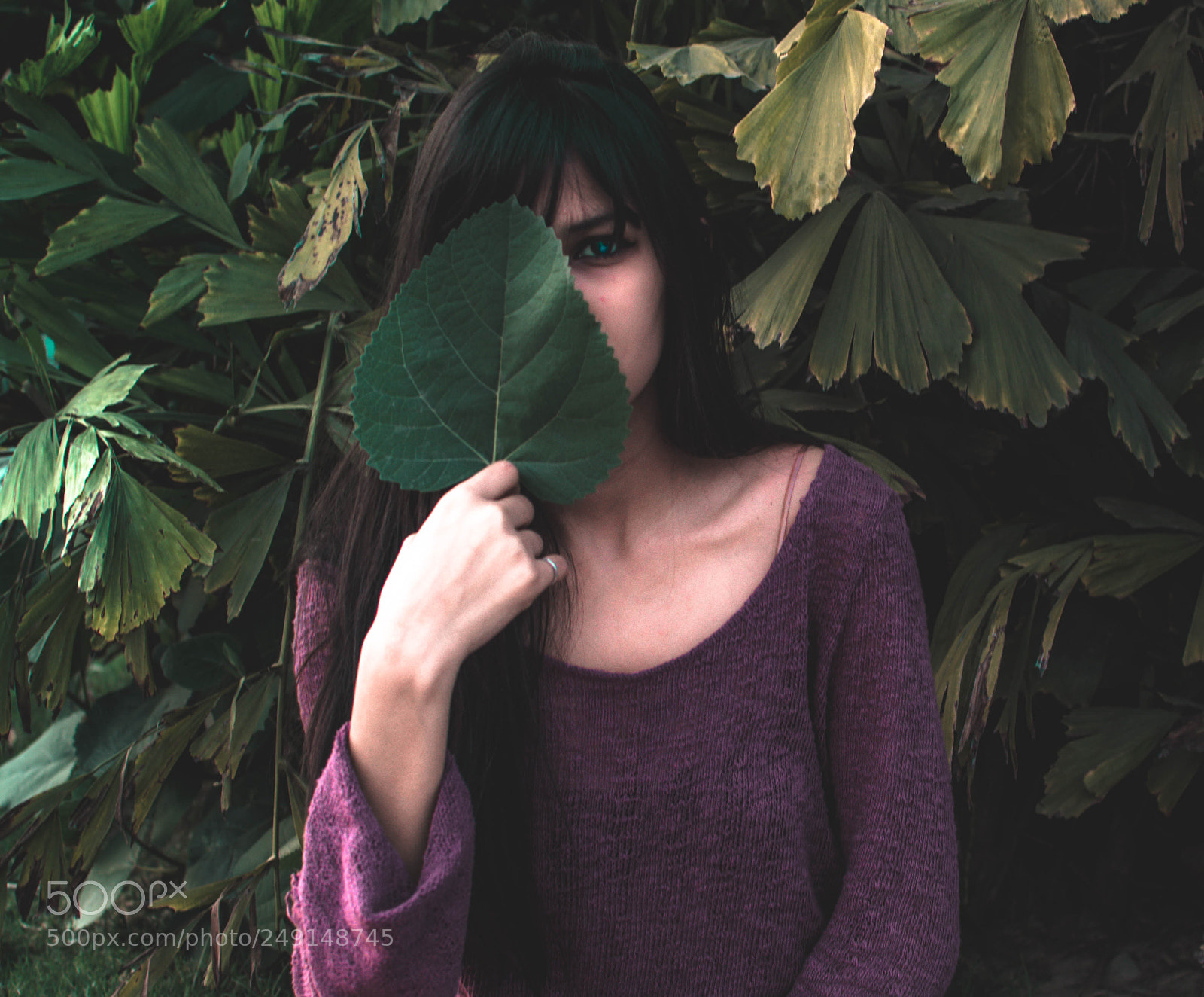 Nikon D7200 sample photo. Eye to eveil photography