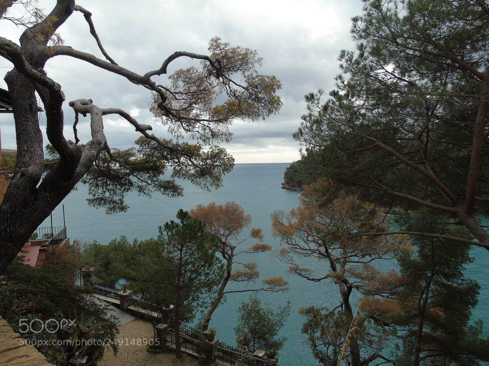 Sony Cyber-shot DSC-H400 sample photo. Nature lovers photography