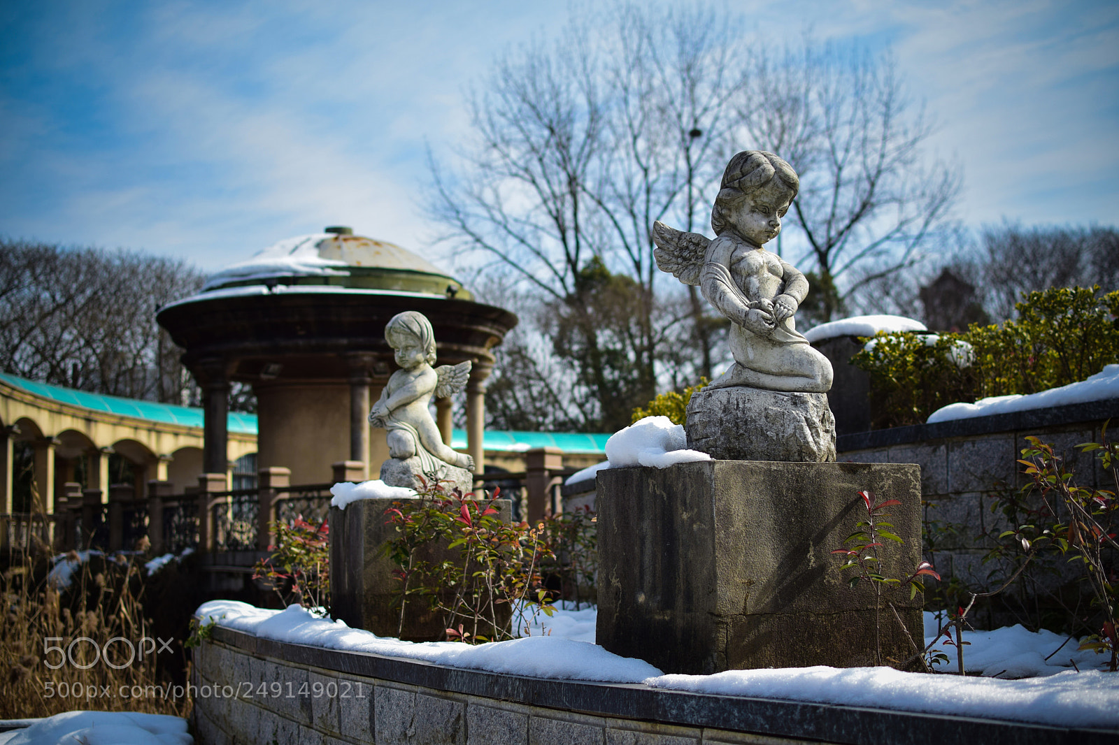 Nikon D5300 sample photo. Untitled photography