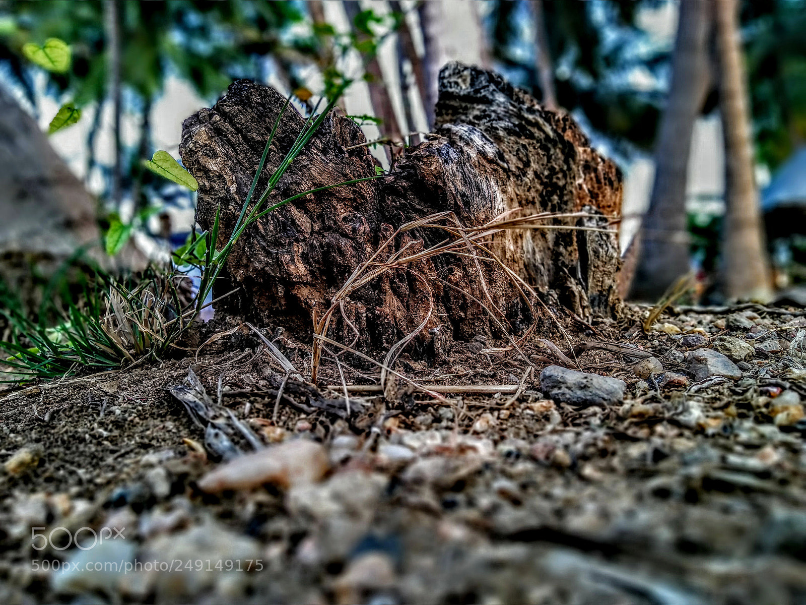 Motorola Moto G (5S) Plus sample photo. Untitled photography