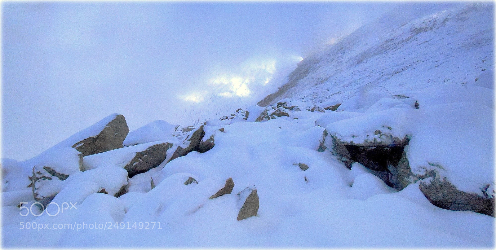 Nikon D810 sample photo. "way" photography