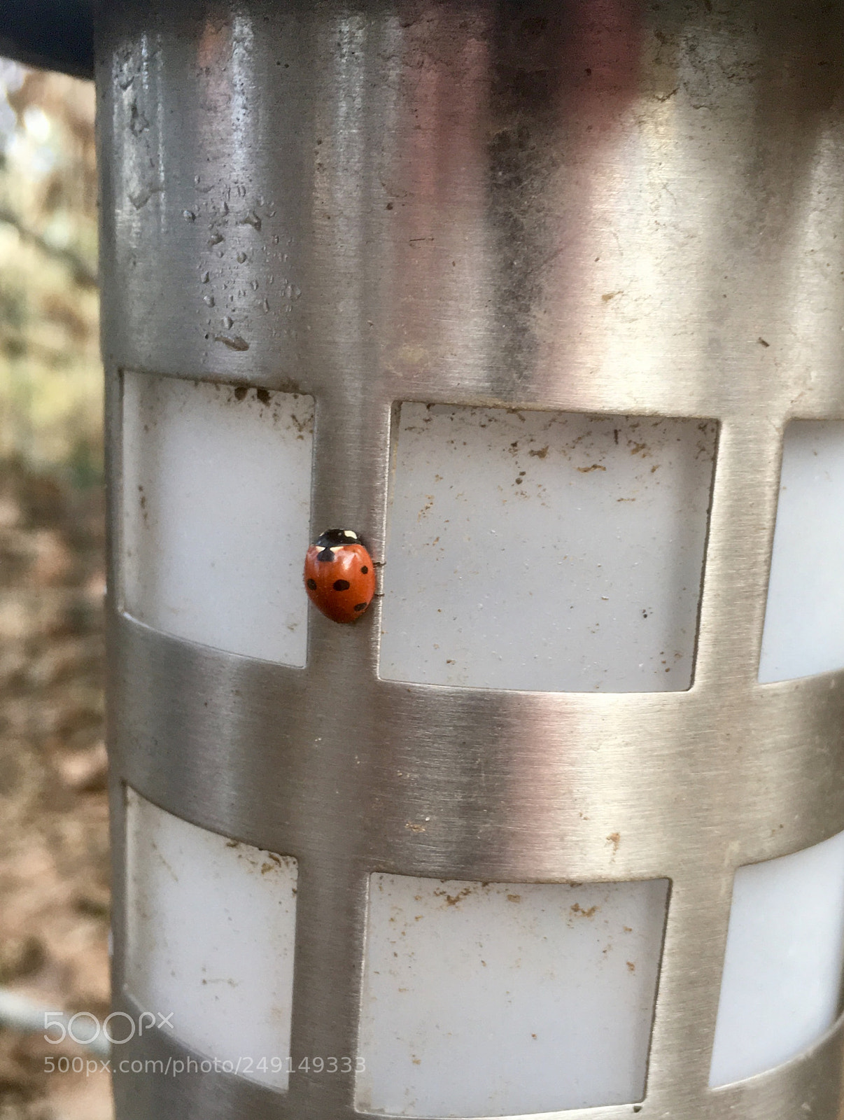 Apple iPhone SE sample photo. Visitor photography