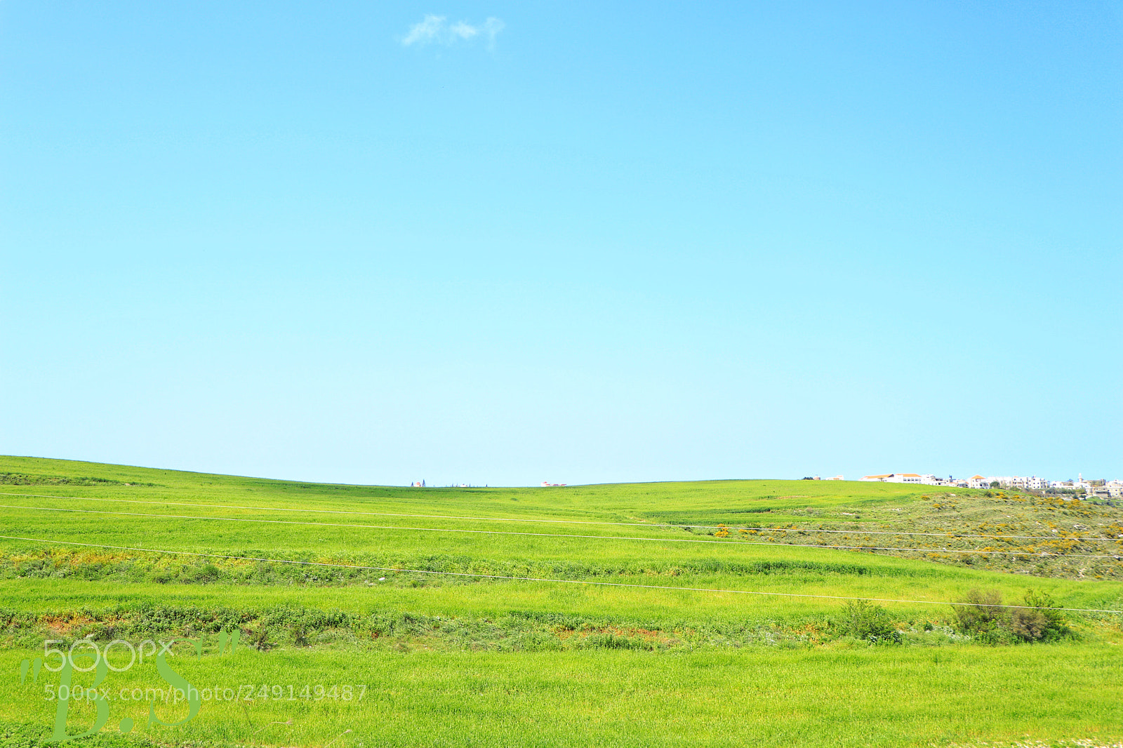 Canon EOS 80D sample photo. Untitled photography