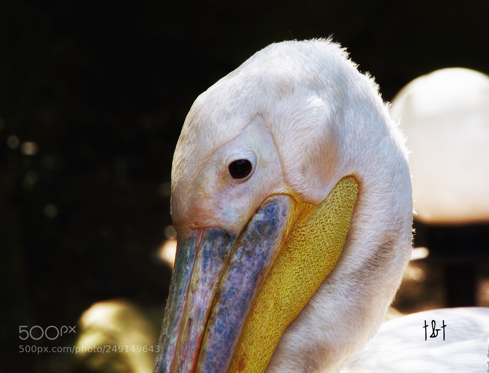 Canon EOS 7D sample photo. Untitled photography