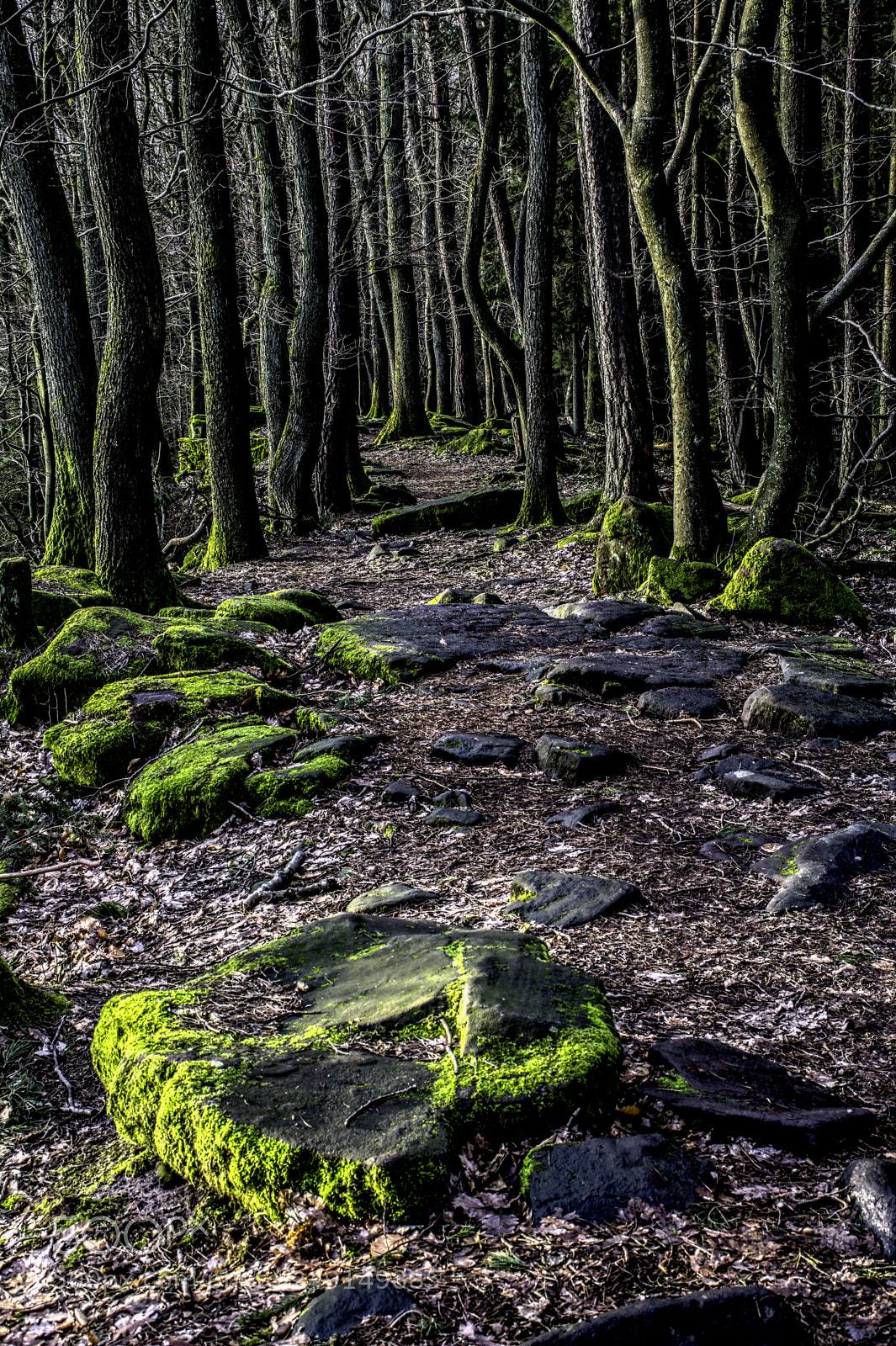 Nikon D7100 sample photo. Palatinate79 photography