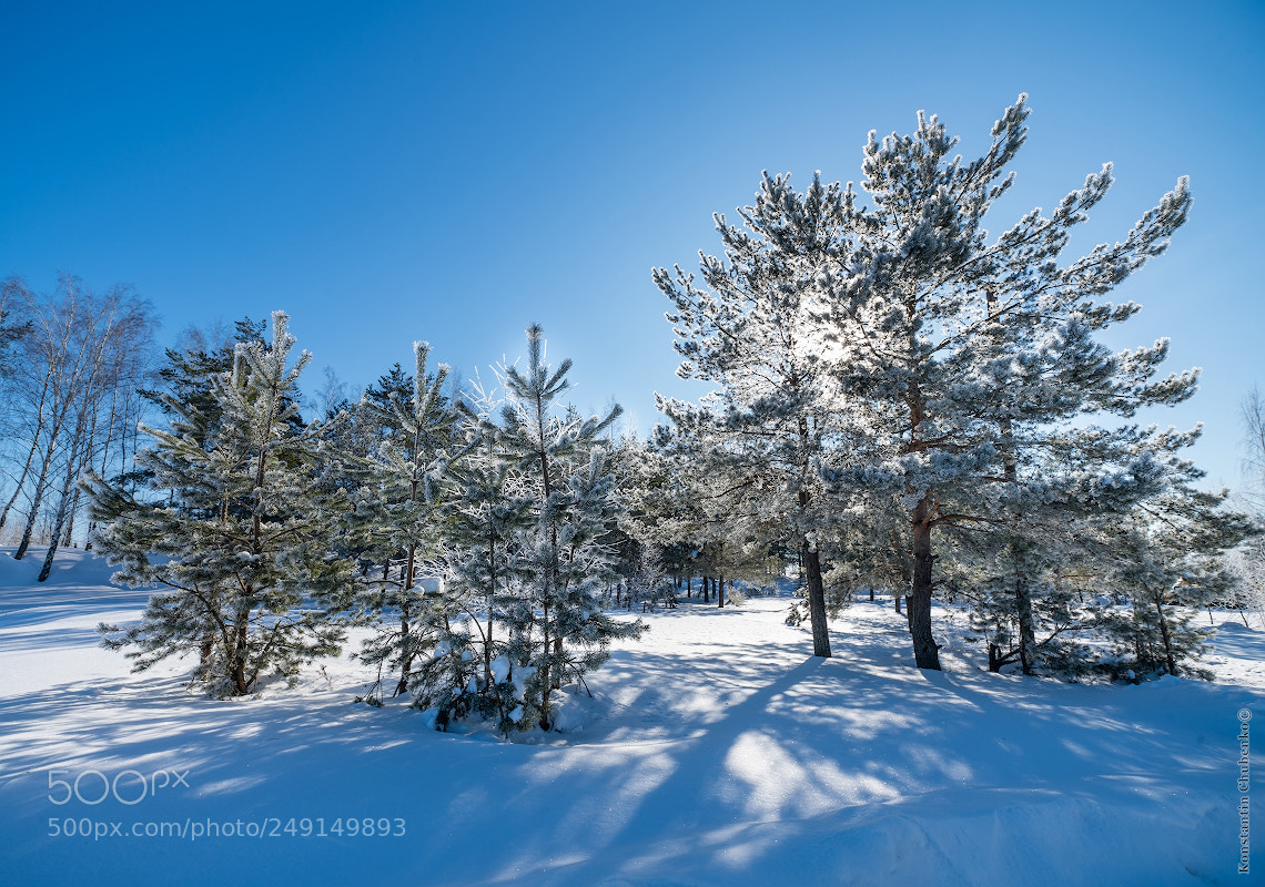 Sony a99 II sample photo. Veronika photography