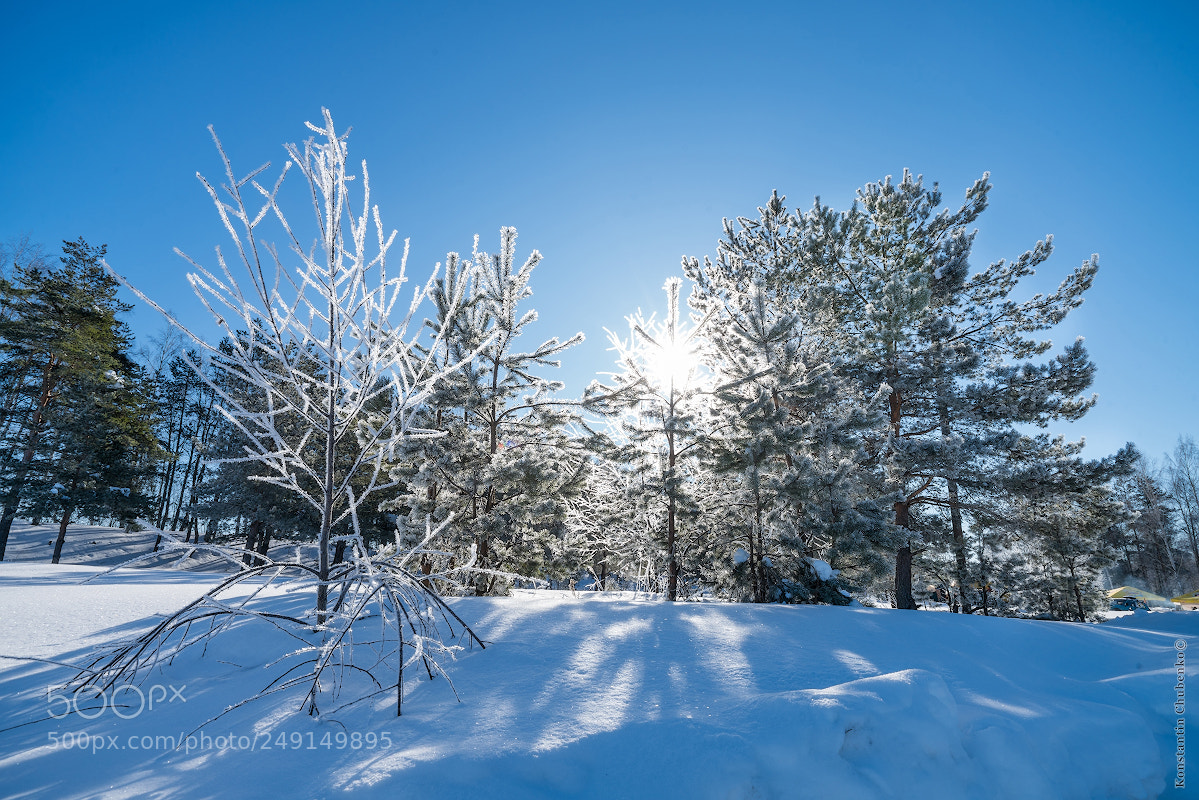 Sony a99 II sample photo. Veronika photography