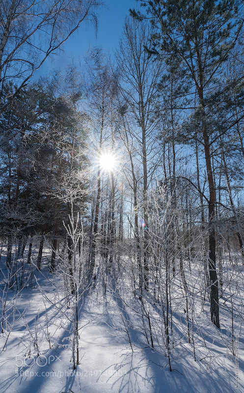 Sony a99 II sample photo. Veronika photography