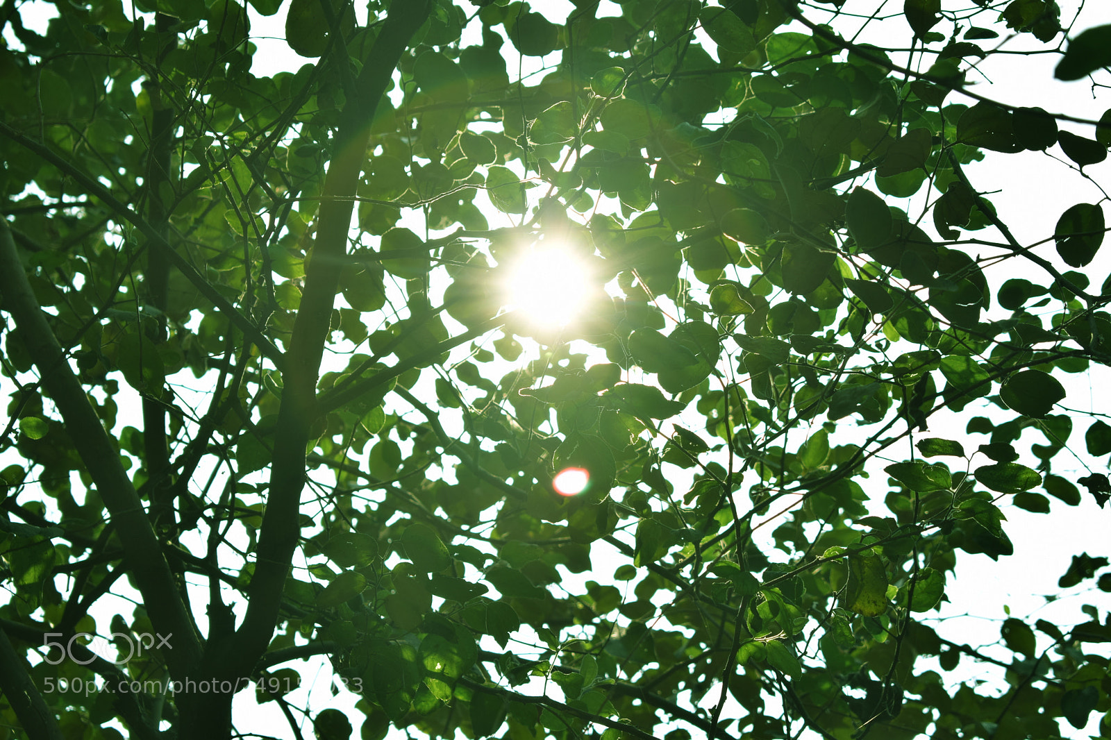 Nikon D5300 sample photo. [] photography