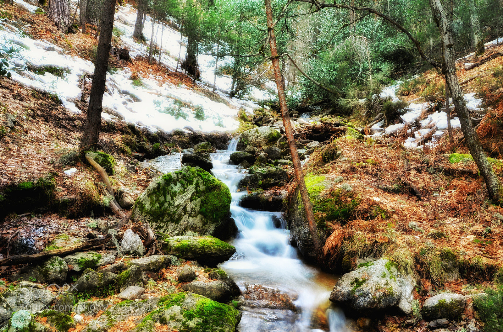 Nikon D5100 sample photo. Paisaje invernal photography