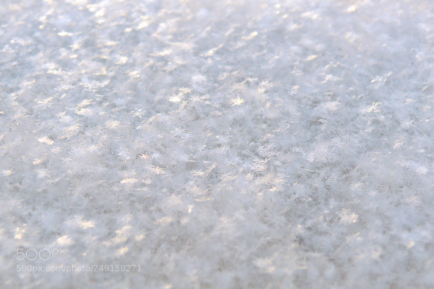Panasonic DMC-FZ50 sample photo. Snow photography