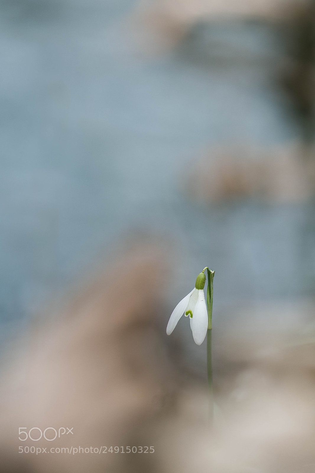 Nikon D500 sample photo. Hp photography