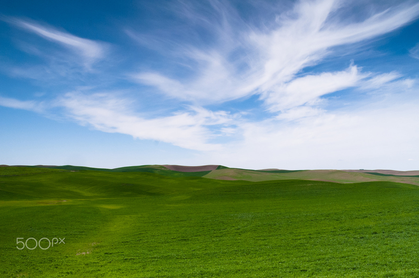 KONICA MINOLTA MAXXUM 7D sample photo. Green agricultural field farm blue skies country photography