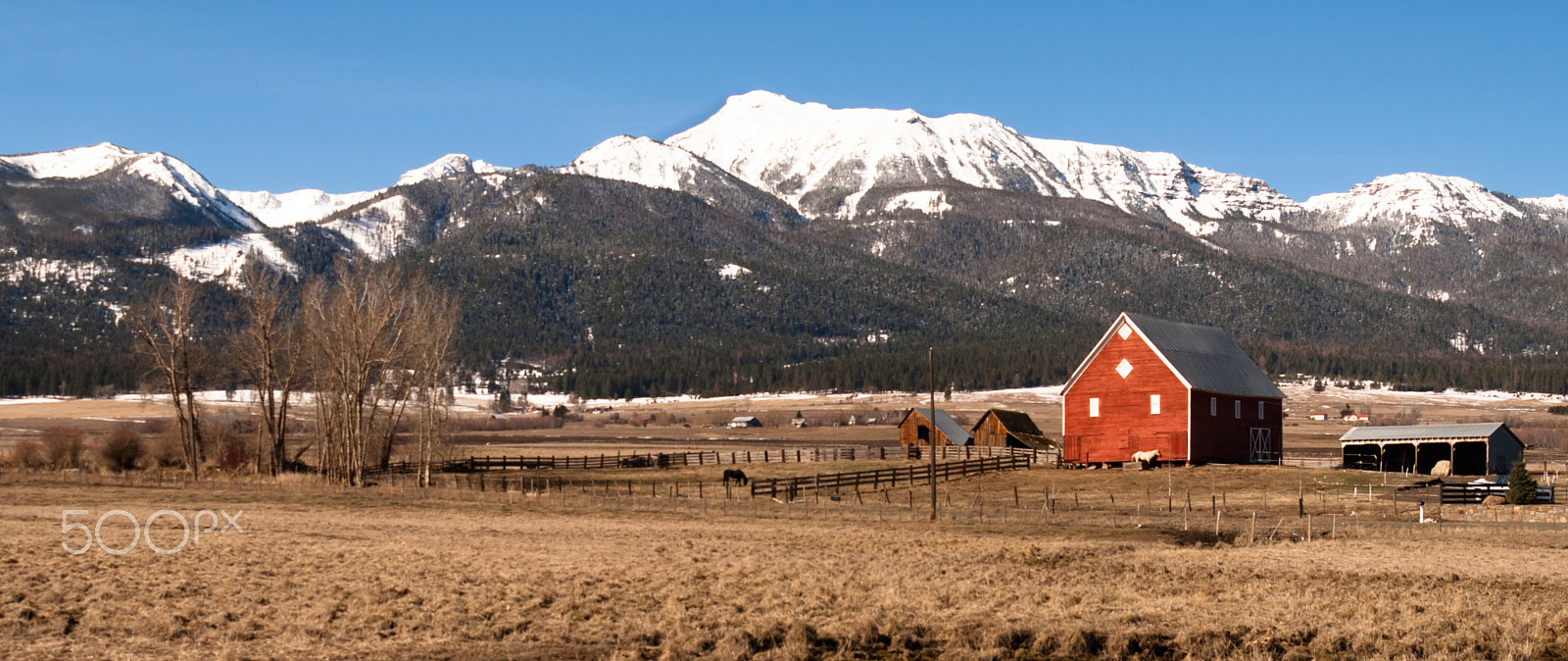 KONICA MINOLTA MAXXUM 7D sample photo. Red barn endures mountain winter wallowa whitman national forest photography