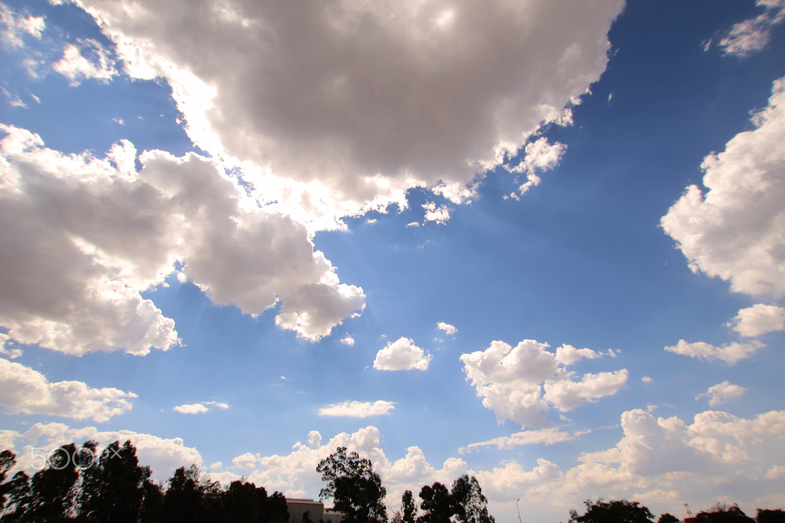 Sigma 10-20mm F3.5 EX DC HSM sample photo. Sky views photography