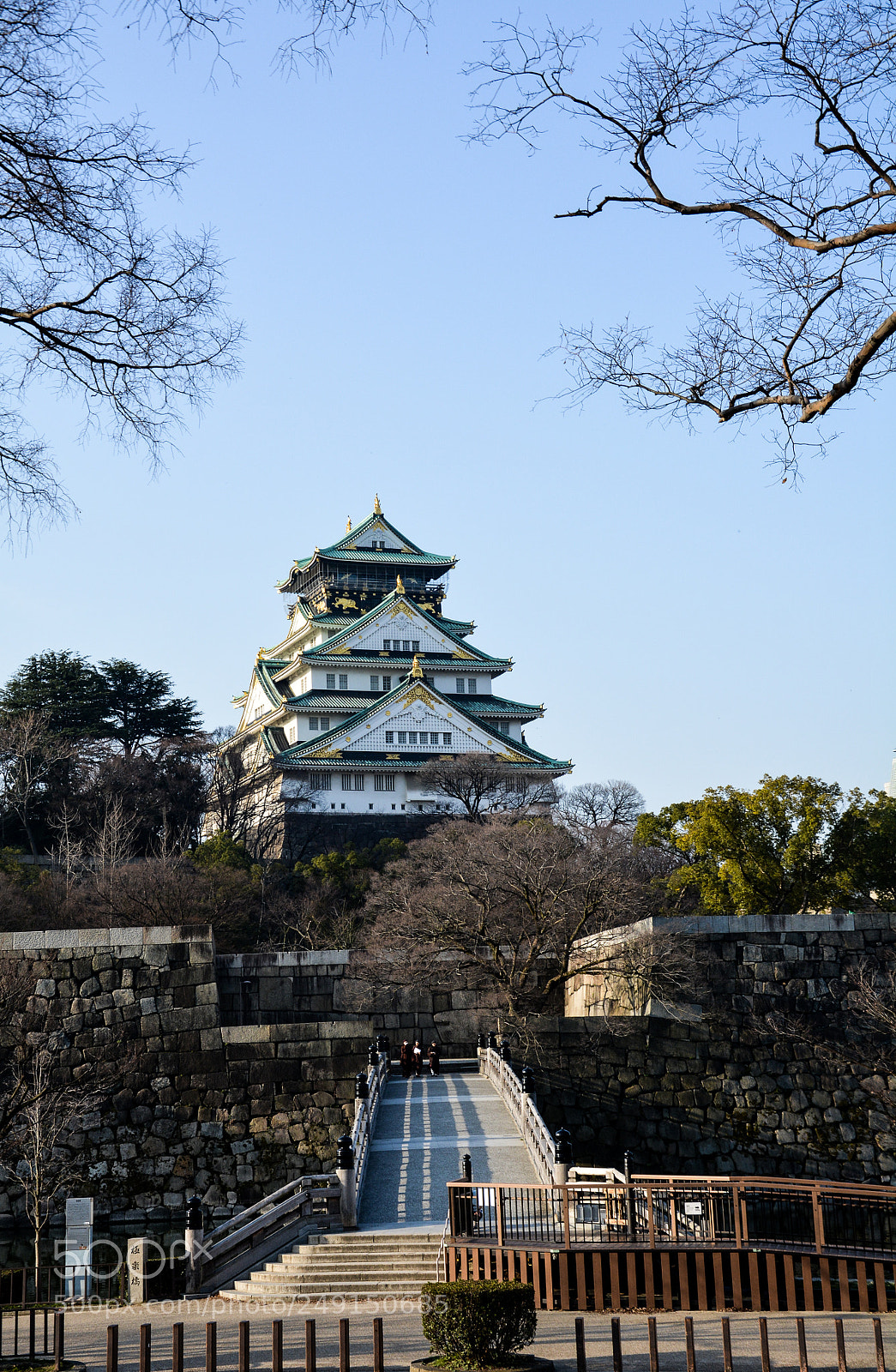 Nikon D5200 sample photo. Osaka castle photography