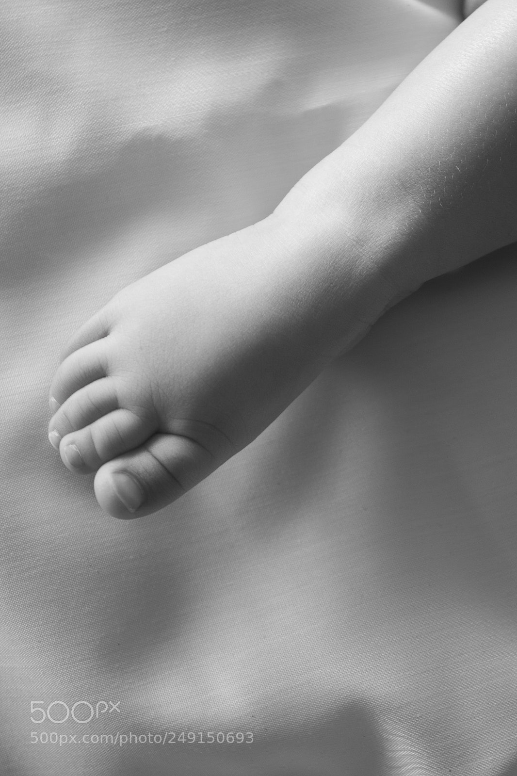 Canon EOS 600D (Rebel EOS T3i / EOS Kiss X5) sample photo. An angels leg photography