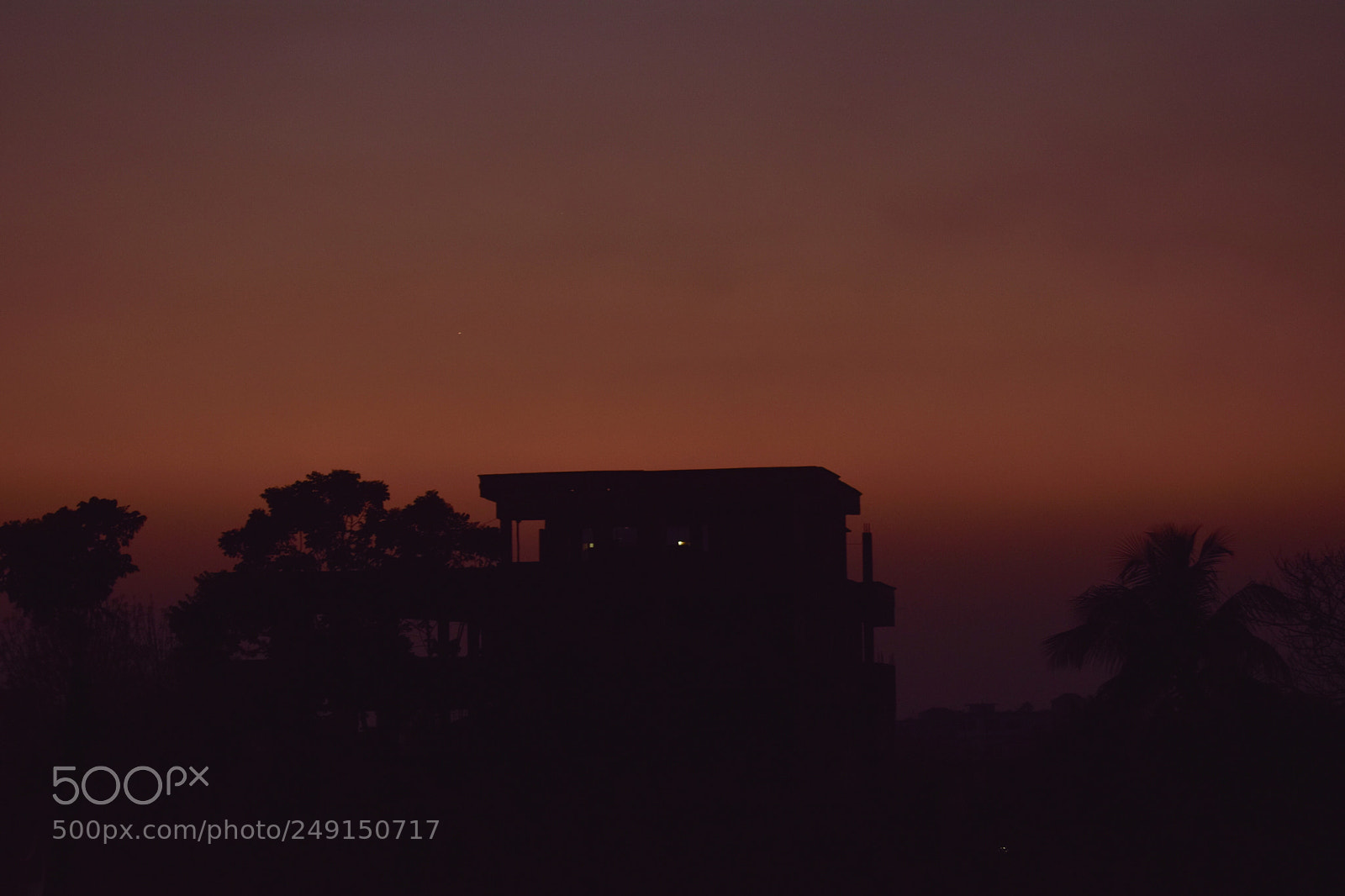 Nikon D5300 sample photo. [] photography