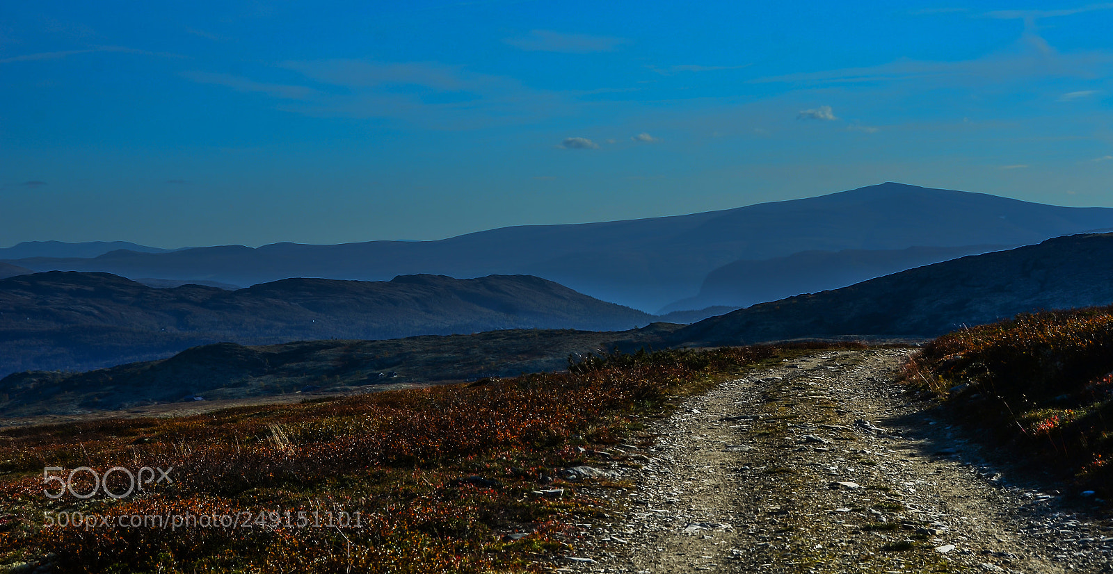 Nikon D7000 sample photo. The road home photography