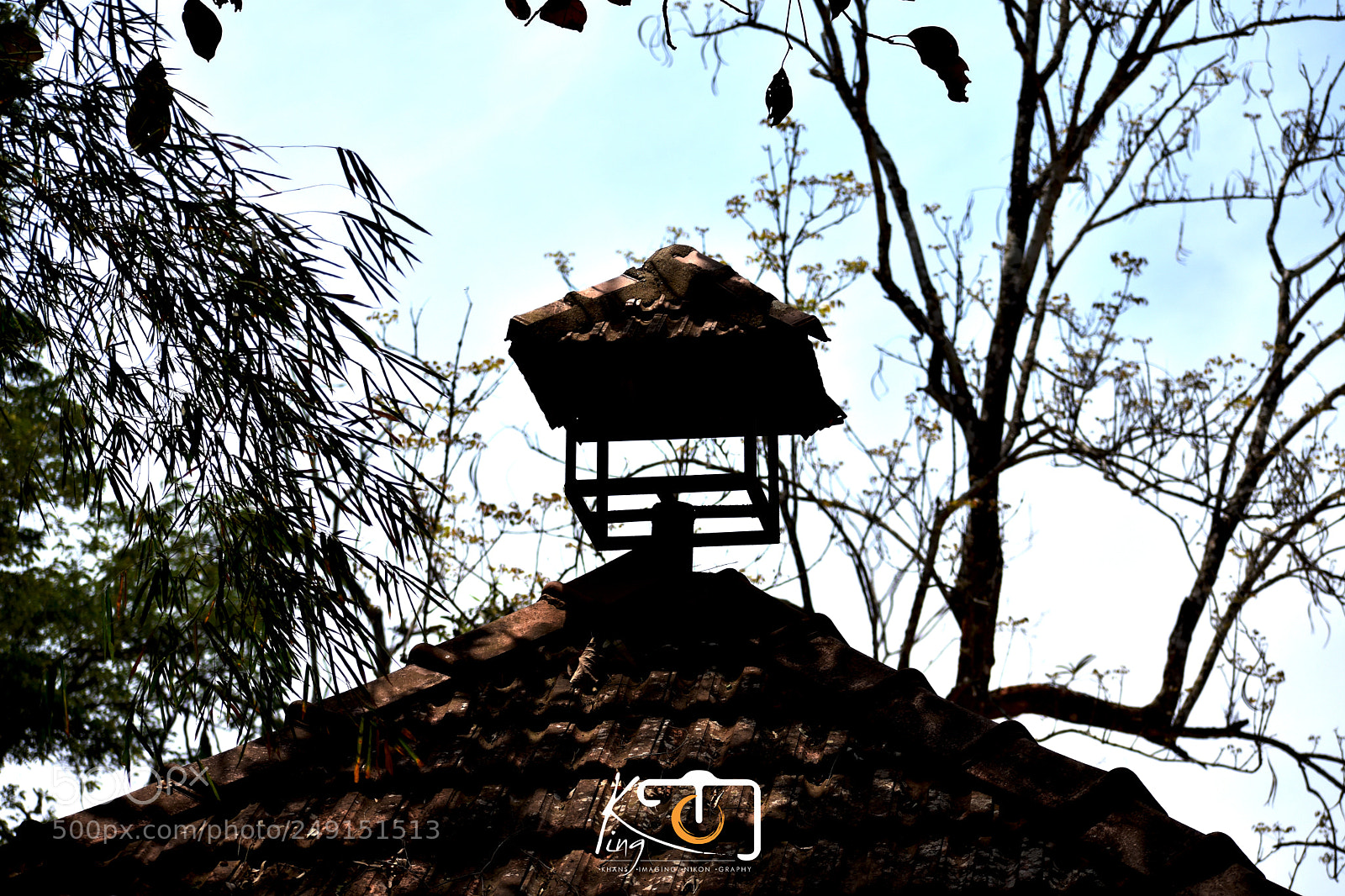 Nikon D3400 sample photo. **** photography