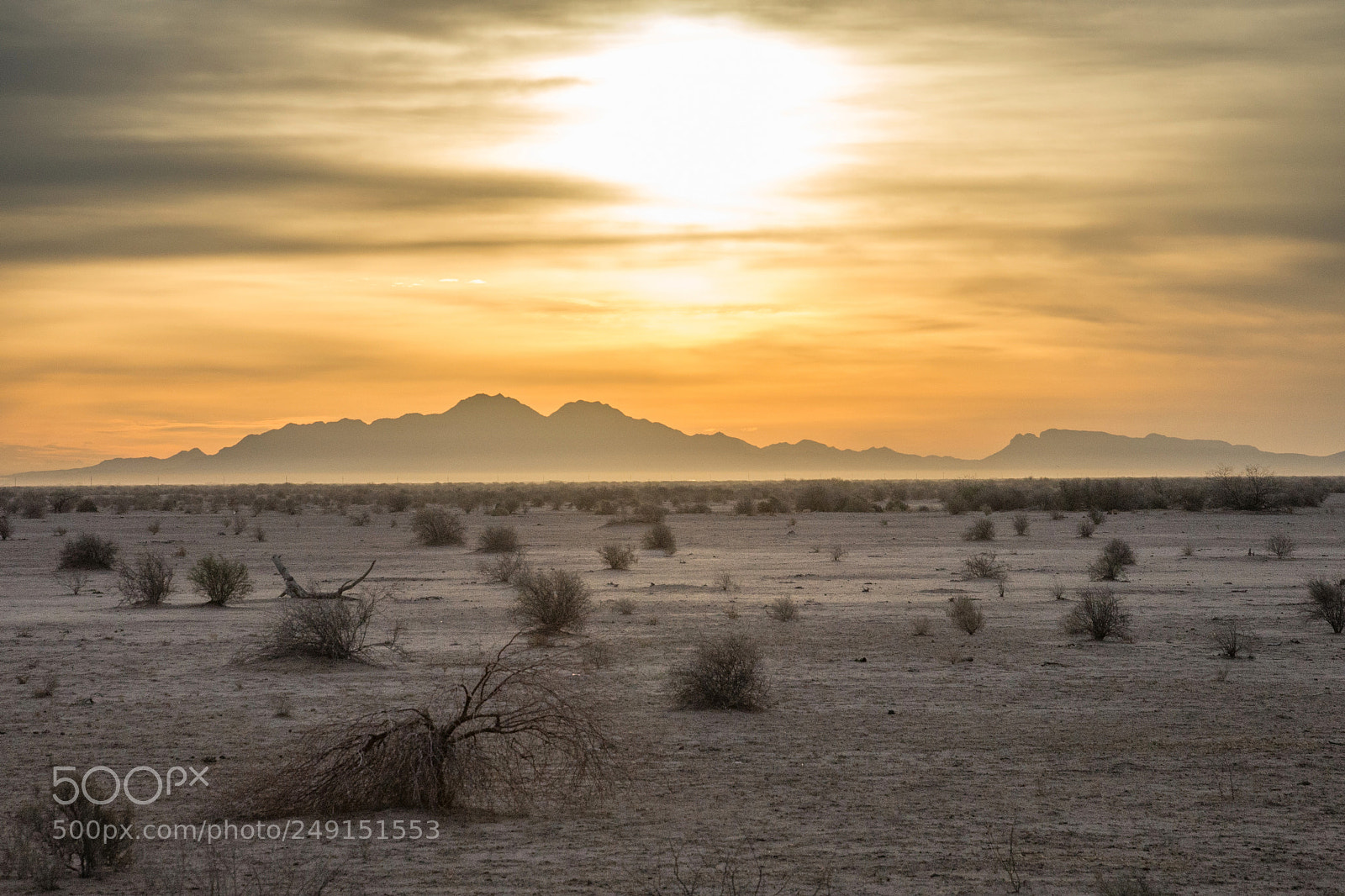 Nikon D610 sample photo. Dry sunrise photography