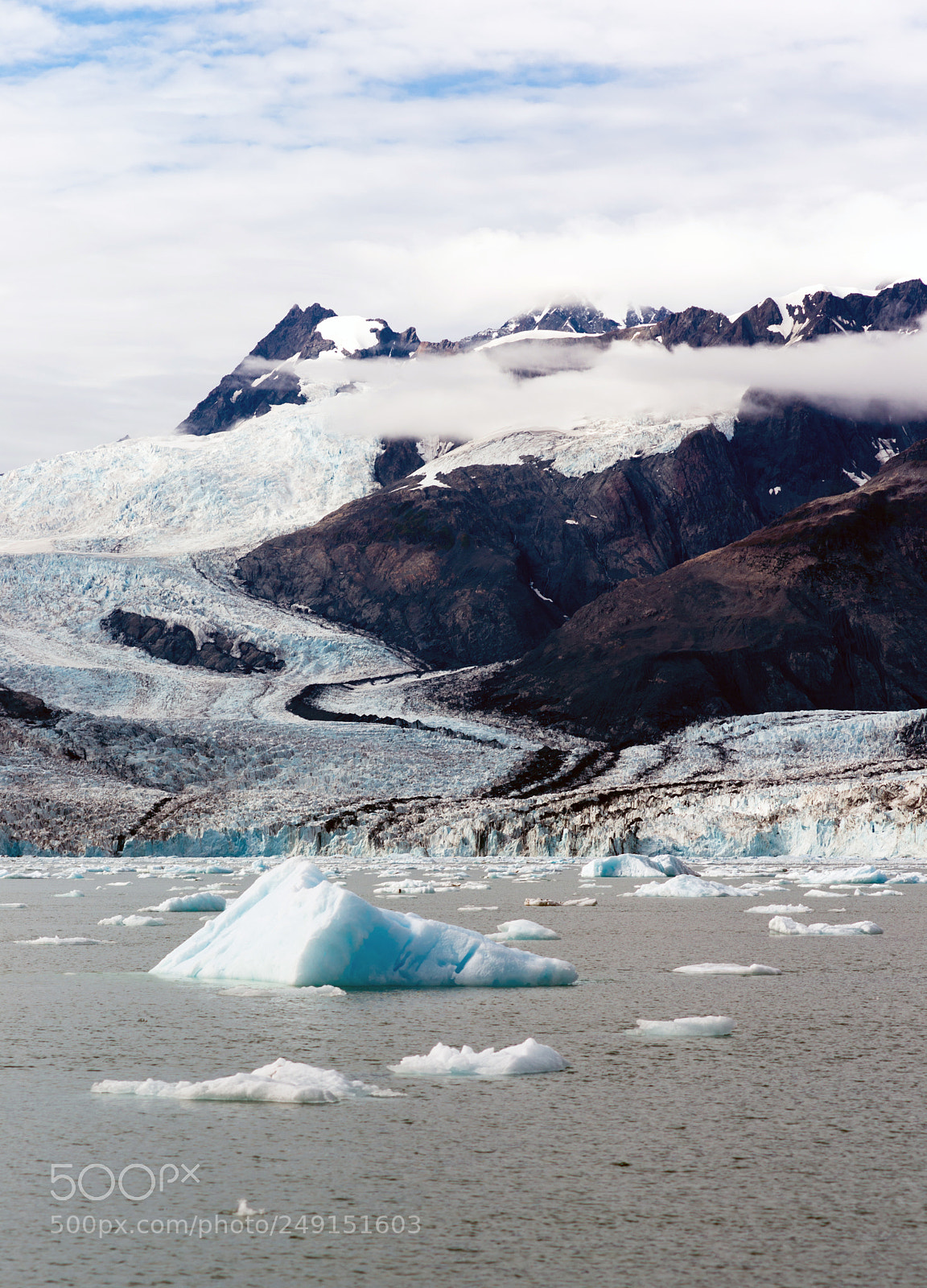 Sony Alpha DSLR-A850 sample photo. Floating icebergs pacific ocean photography