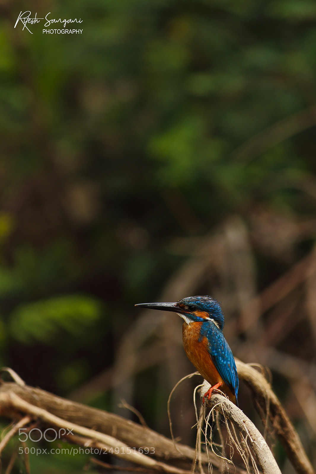 Canon EOS 700D (EOS Rebel T5i / EOS Kiss X7i) sample photo. Lonely planet.....! photography