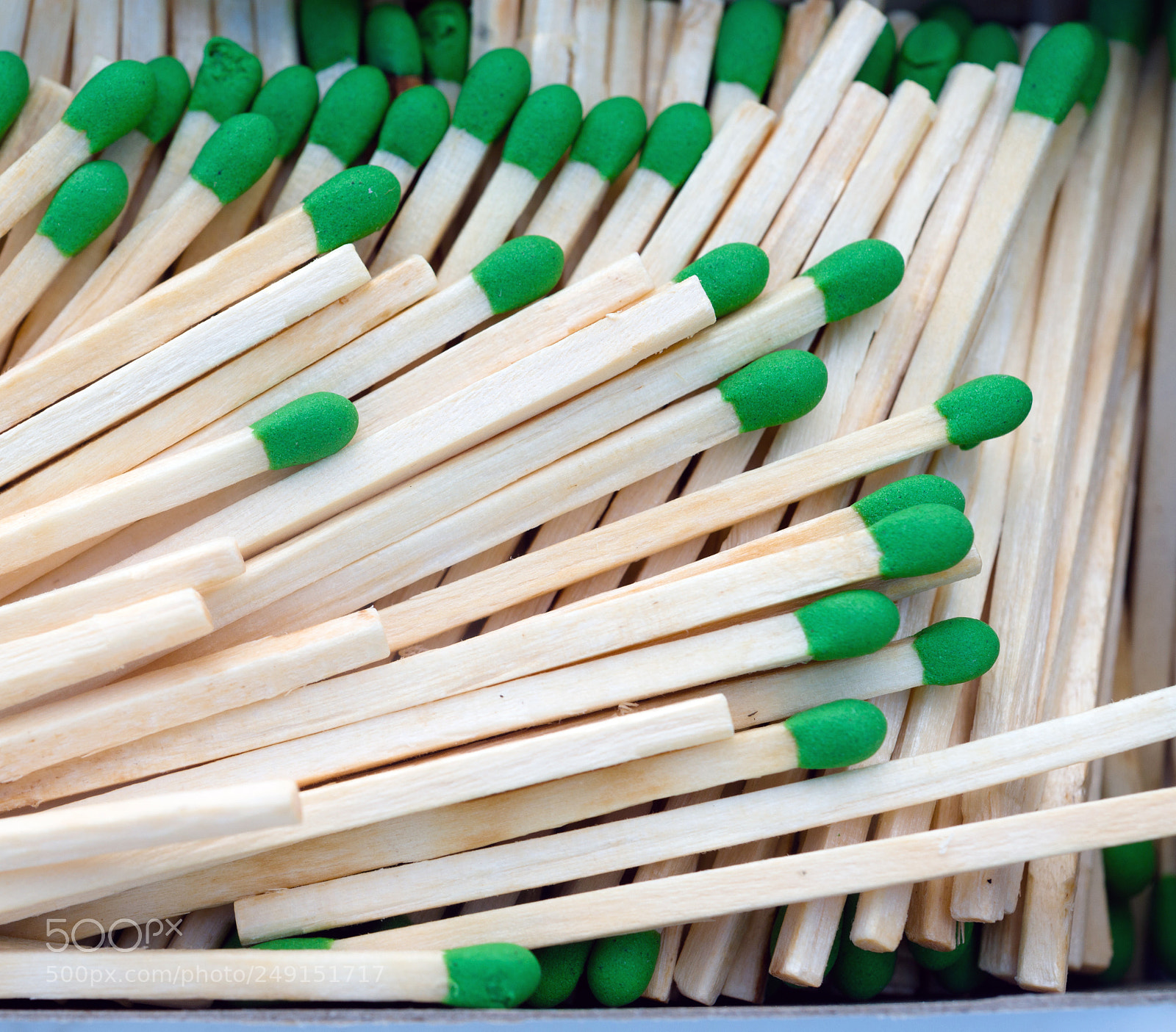 Sony Alpha DSLR-A850 sample photo. Group wood stalk green photography