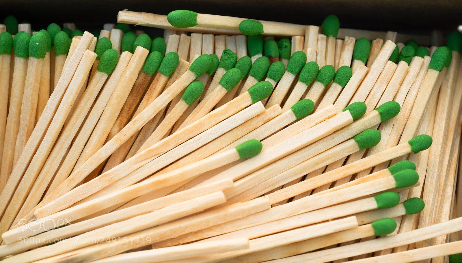 Sony Alpha DSLR-A850 sample photo. Wood stalk green tip photography