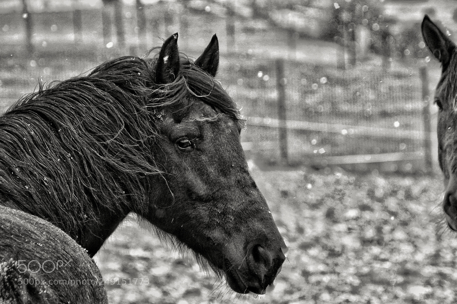 Canon EOS 7D sample photo. Y yo con estos photography