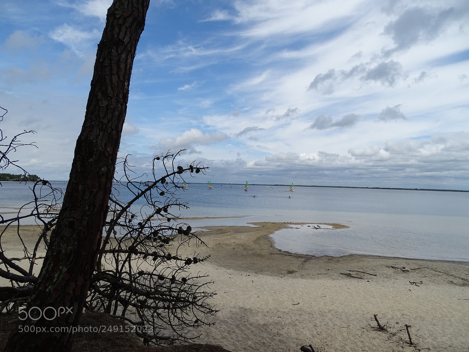 Sony Cyber-shot DSC-HX400V sample photo. Dsc photography