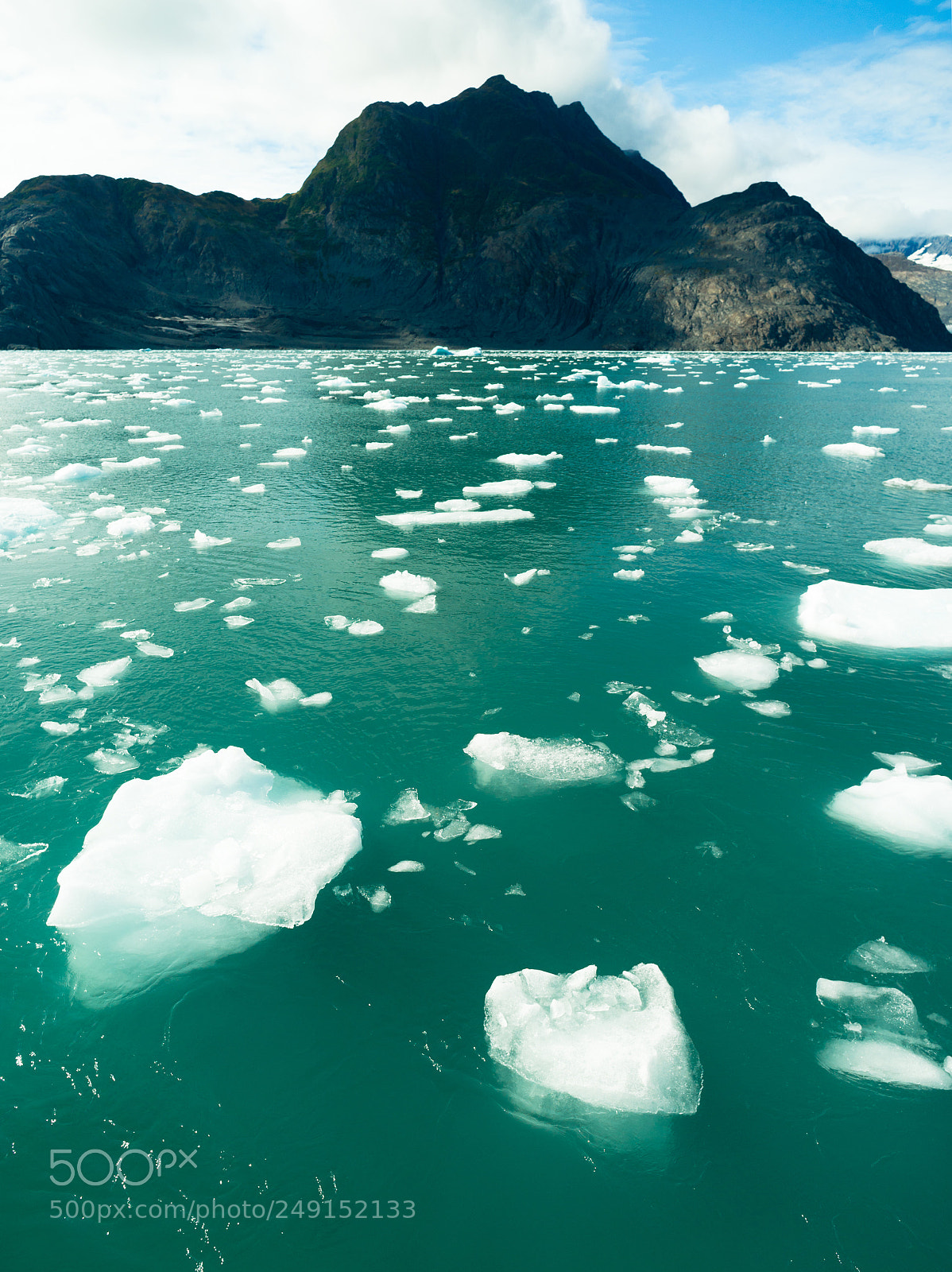 Sony Alpha DSLR-A850 sample photo. Floating icebergs pacific ocean photography