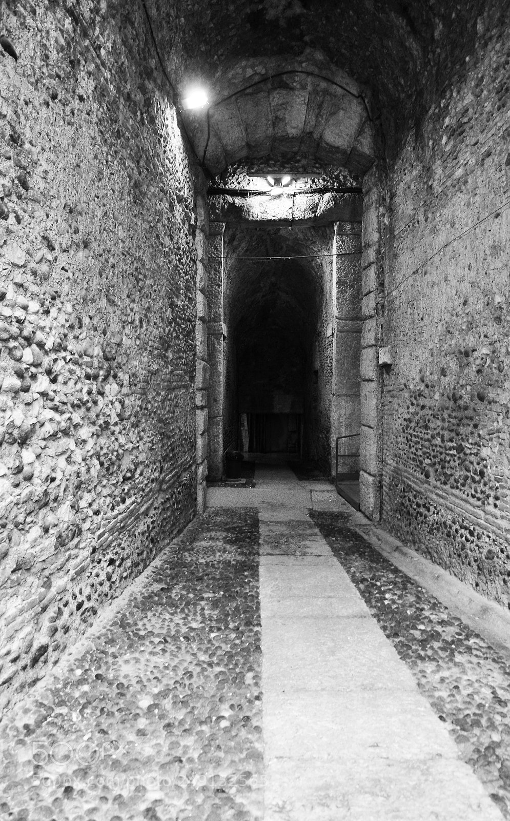 Nikon D90 sample photo. Coliseum of verona photography
