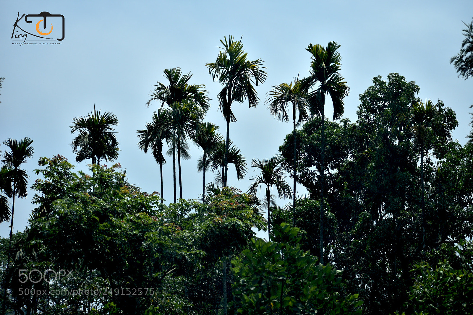 Nikon D3400 sample photo. Kerala photography