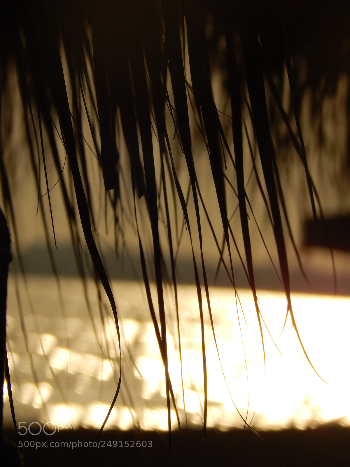 Nikon Coolpix L820 sample photo. Golden sunset photography