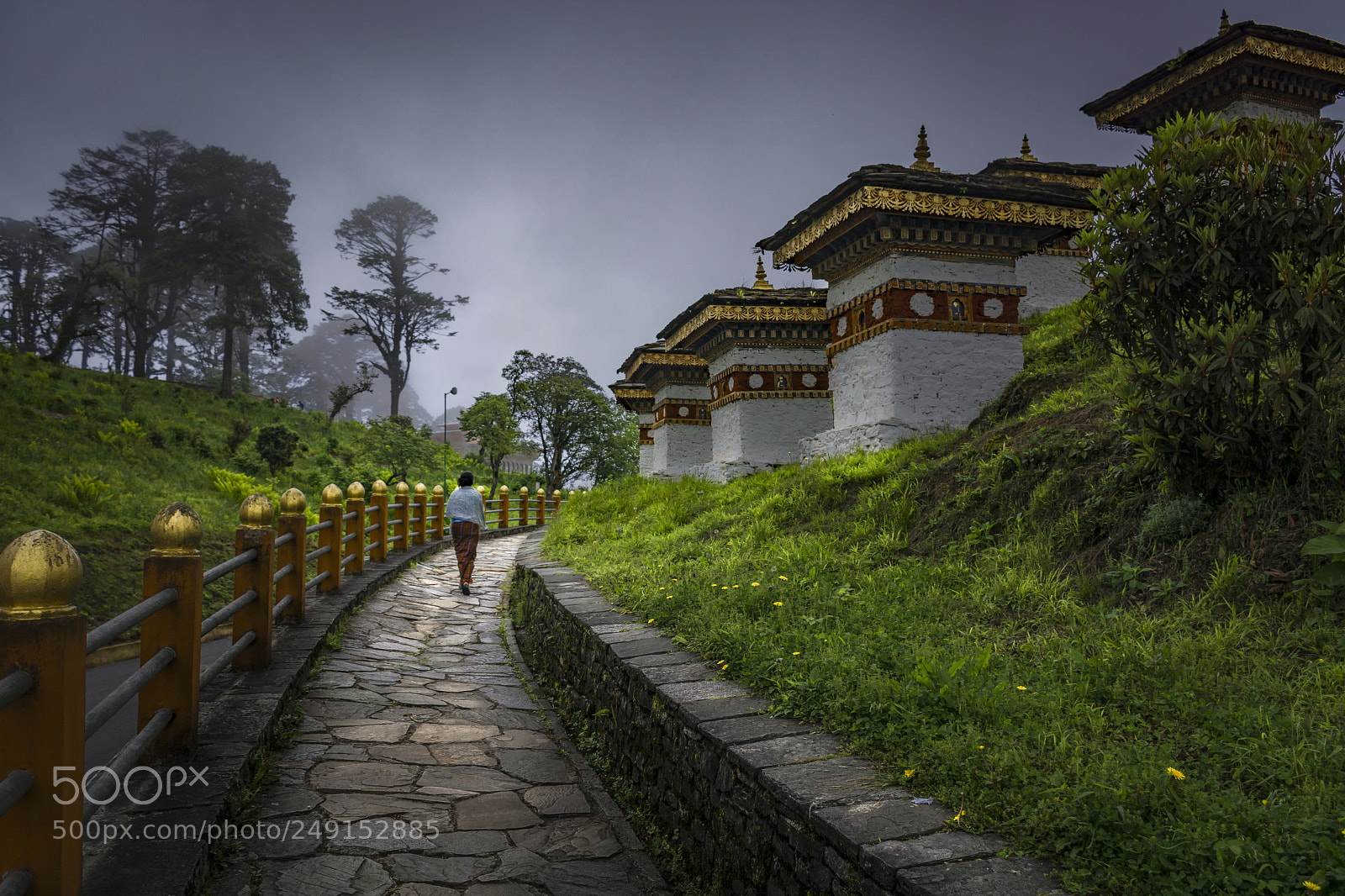 Nikon D7100 sample photo. Walk towards enlightenment. photography