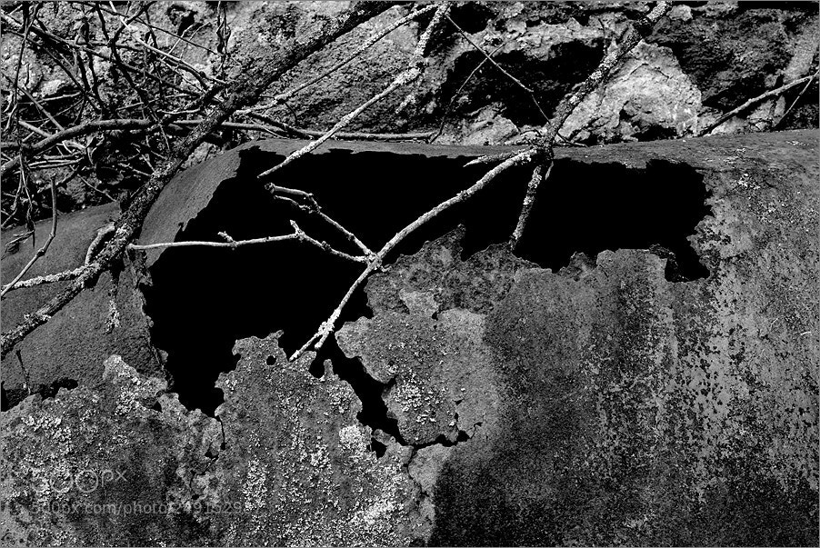Nikon D610 sample photo. Map of darkness photography