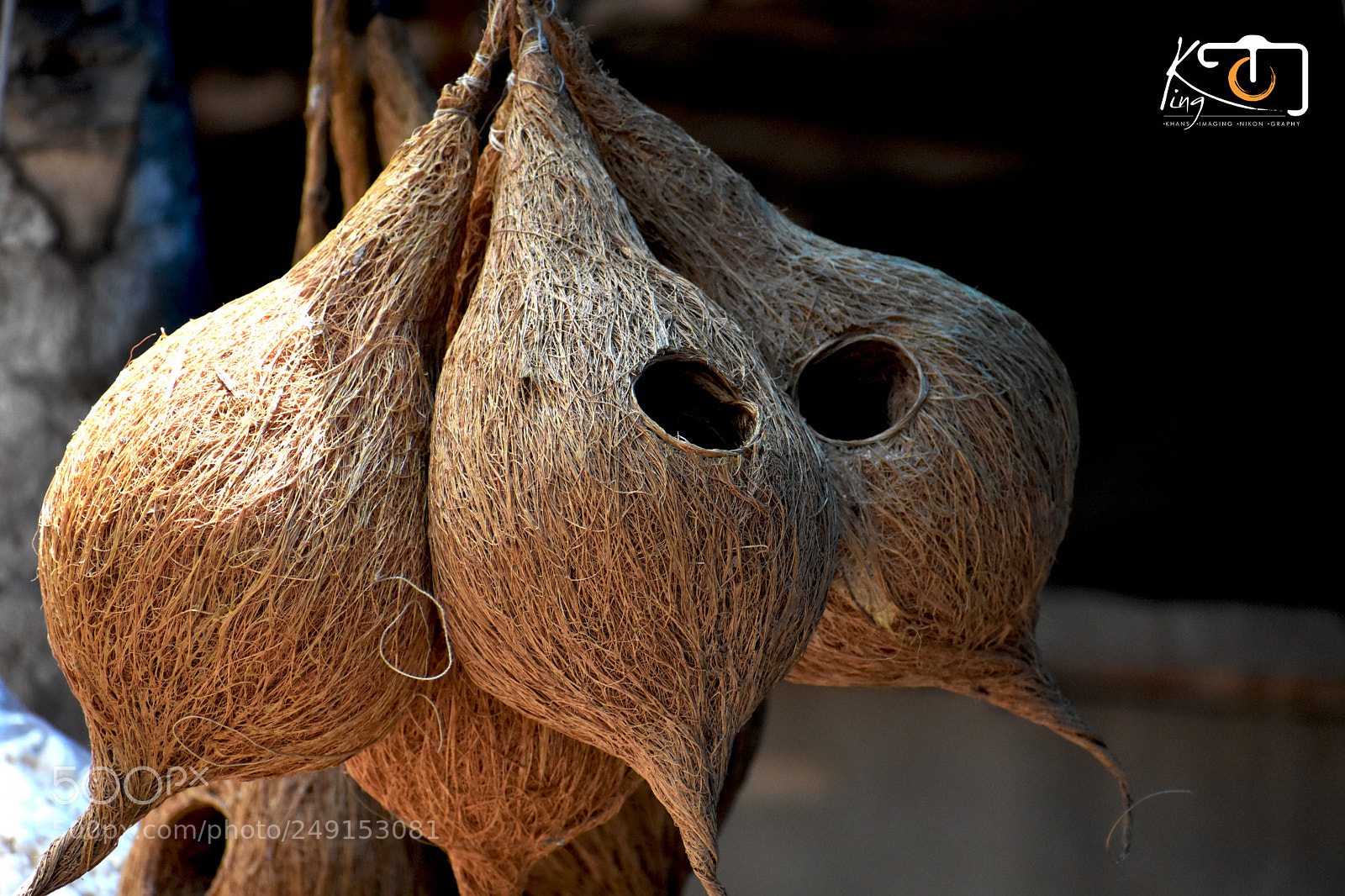 Nikon D3400 sample photo. Bird house photography