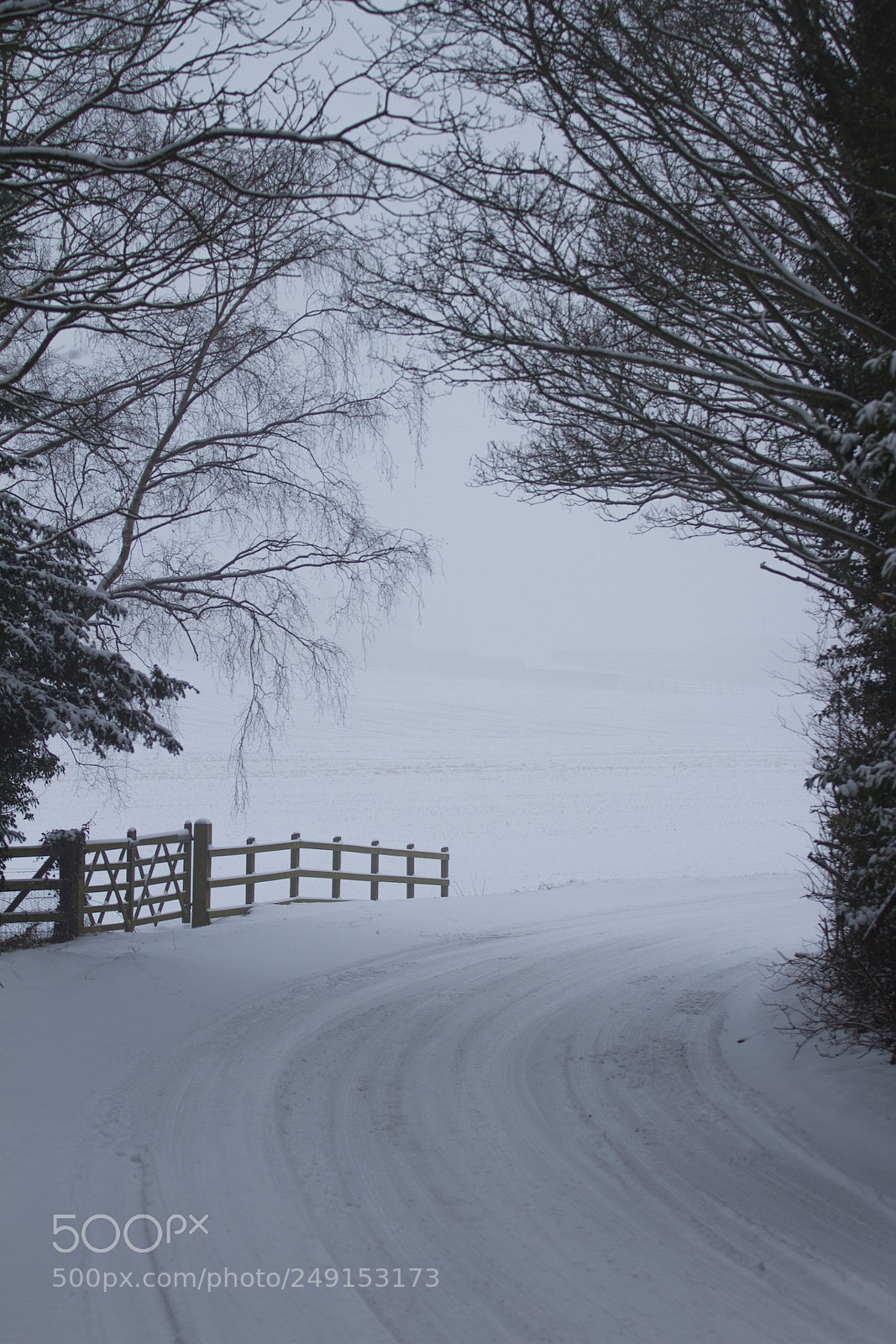 Canon EOS 7D sample photo. Snowy country road photography