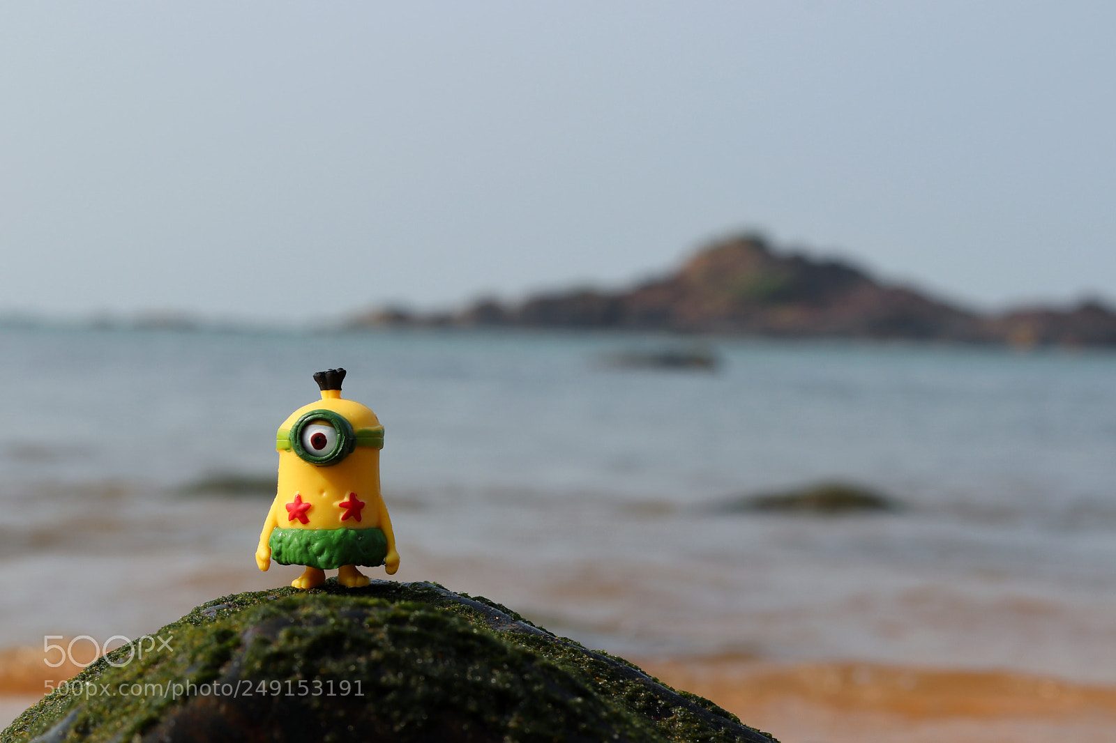 Canon EOS 77D (EOS 9000D / EOS 770D) sample photo. Wanderlust minion photography