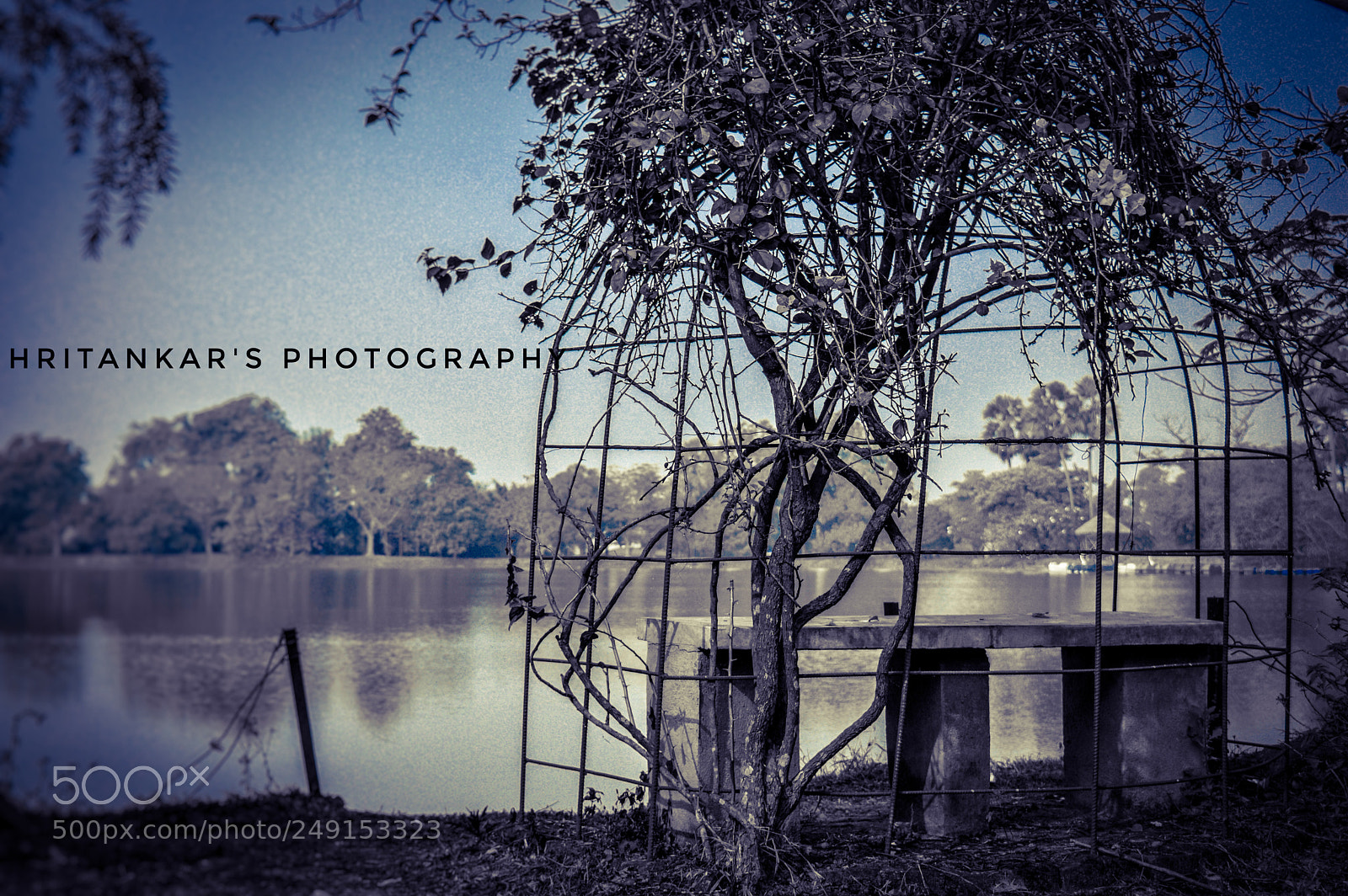 Nikon D3200 sample photo. Untitled photography